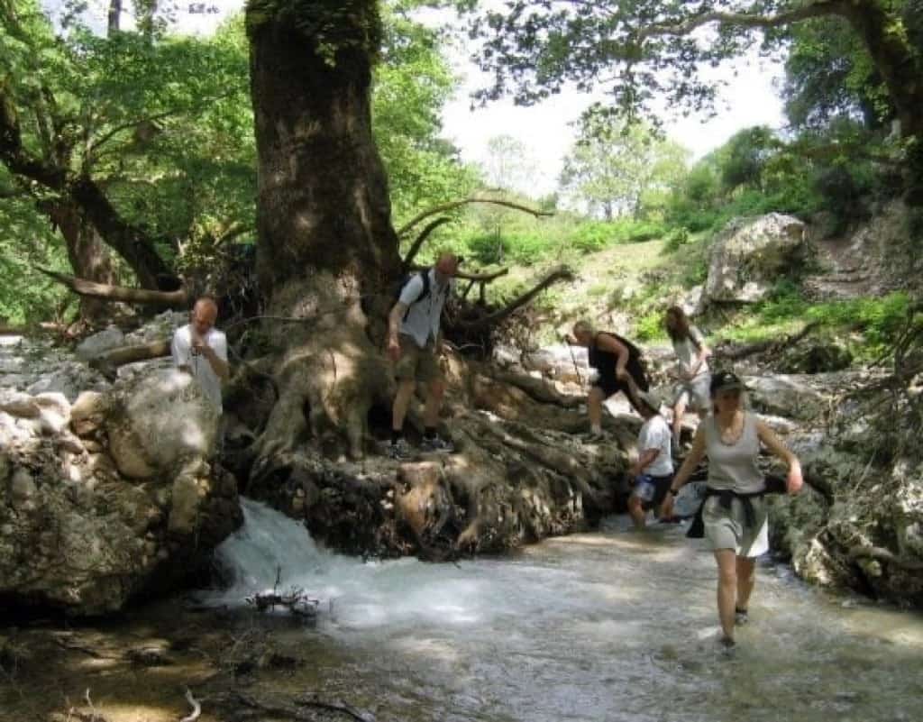 Ομάδα σε πεζοπορία στη φύση