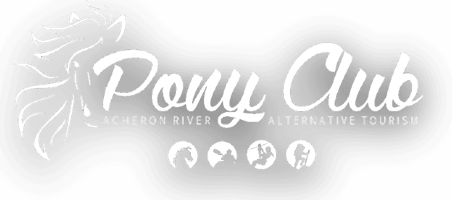 Pony Club Logo