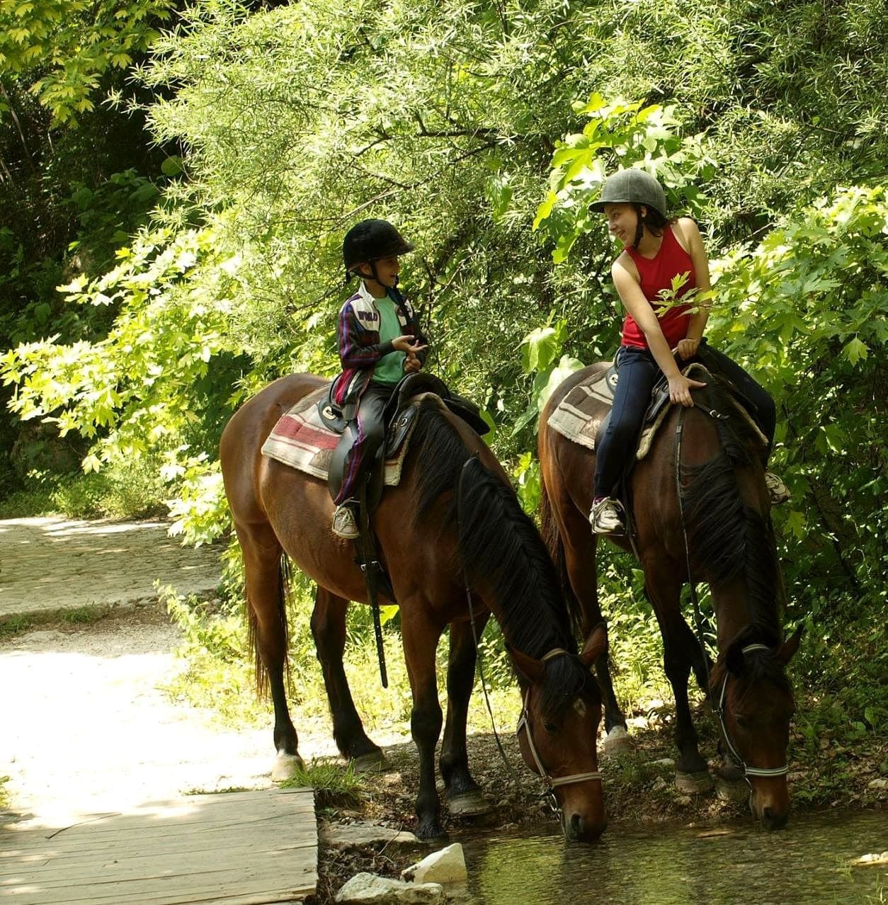 Horse Riding