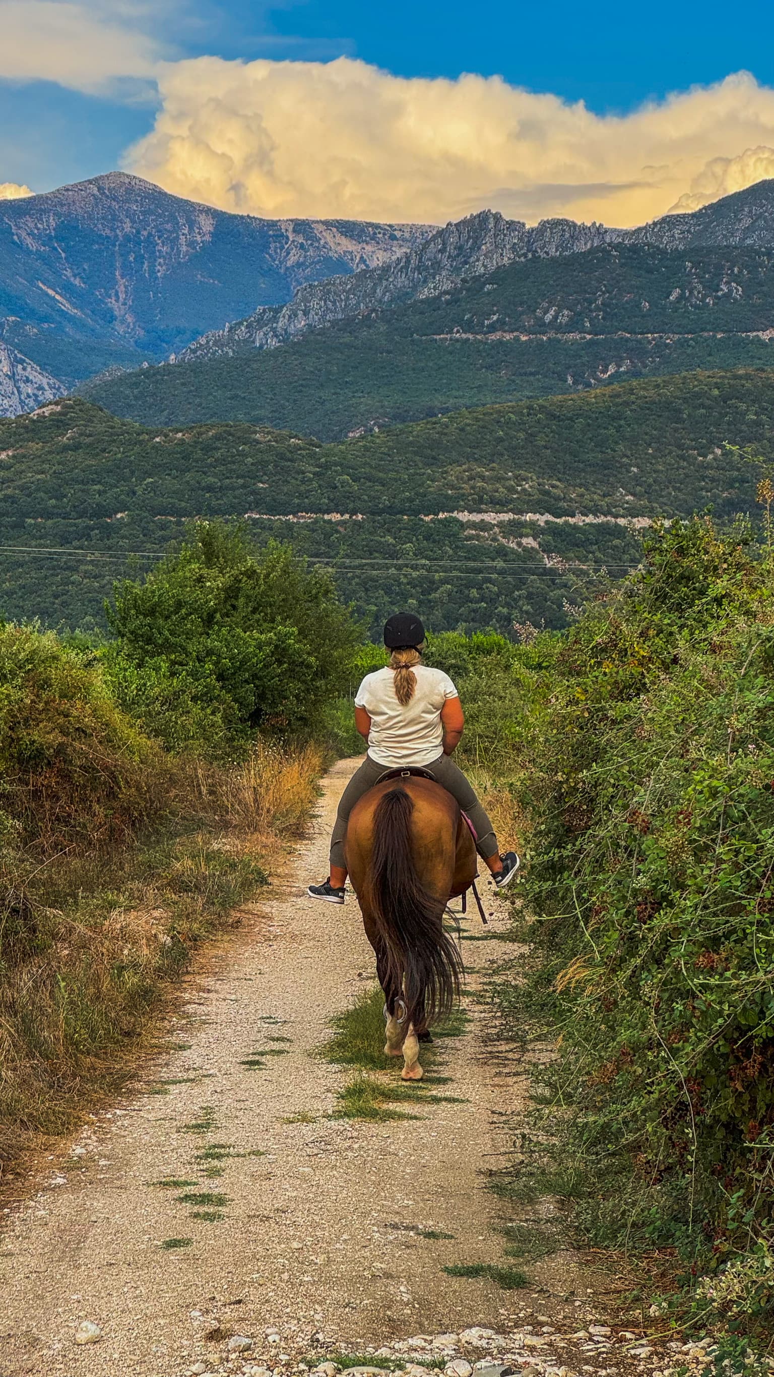 Scenic family route