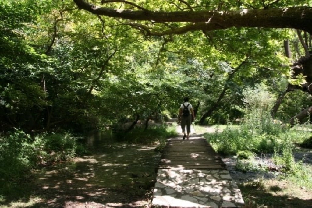 Stone-paved mountain paths